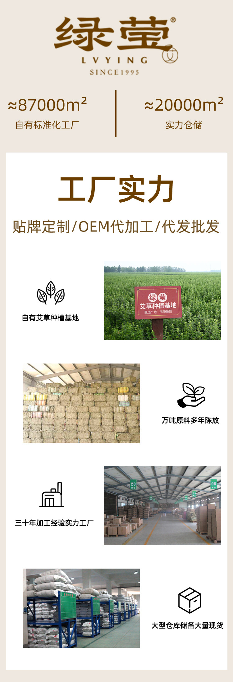 Moxa Sticks Ai Tiao 1.8x20cm Hand Rolled Pure Mugwort Rolls 10 Pack Box in use