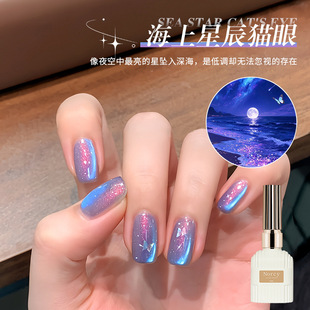 �����ǳ�؈��ָ�����z2026���¿��Ųʝu׃�I��������؈���������l