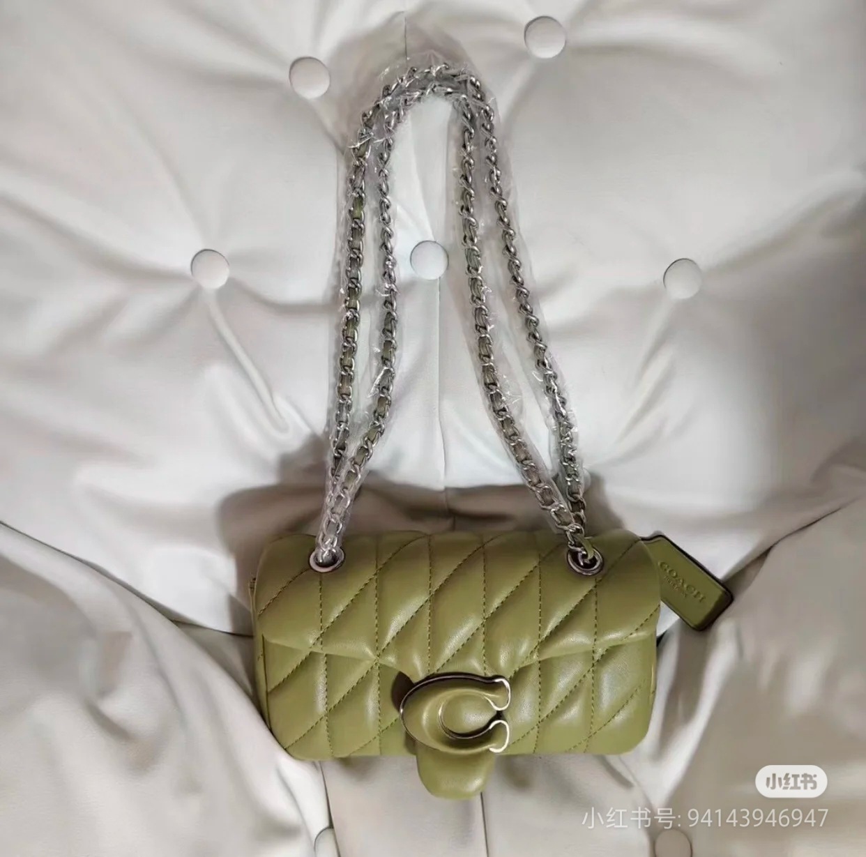 아보카도 그린 대형