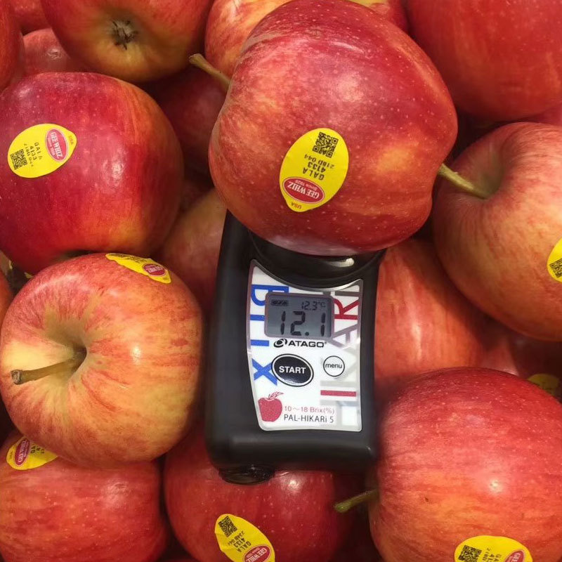 无损苹果糖度计PAL-HIKARi5