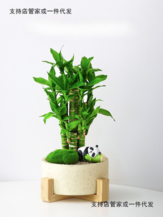 ���F��������ؔ�񲽲����k���҃�ֲ��lؔ����B�����ļ�����Gֲ