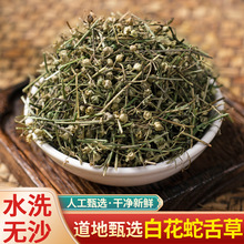 中药材 野生白花蛇舌草 新鲜干货 正宗白花蛇草 中草药 500g克