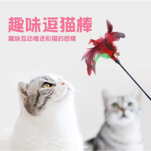 Cat toy long pole to amuse the cat Colorful feather bell self-entertainment tool to relieve boredom Vocal kitten pet supplies
