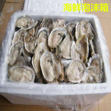 ��ĭ���]��5���з�亣�r��ĭ����w�~���Ӵ�̖���~���̖���f��