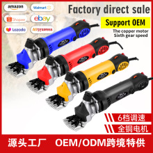 �羳���ʵ綯��ë����ë���ӵ綯��ë������ë����ë���������