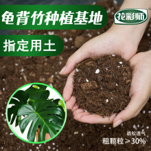 虹越花彩师龟背竹土粗颗粒绿植通用天南星科植物营养土盆栽