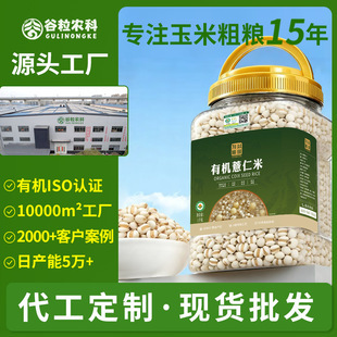 ������� �ЙC޲���� ���V���|�V�ߵ��� ޲��������s�Z ����޲��