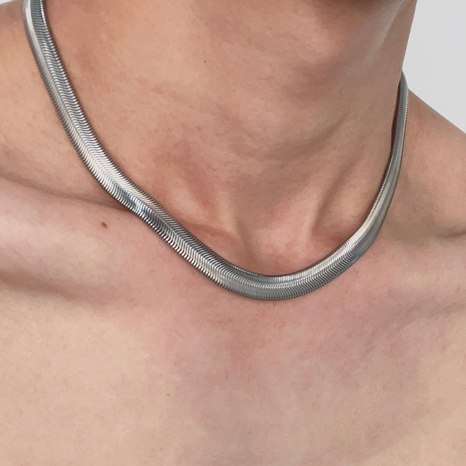 Minimalist Style New Snake Bone Chain Necklace for Men Trendy Versatile Minimalist Choker Collarbone Chain Niche Titanium Steel Accessory