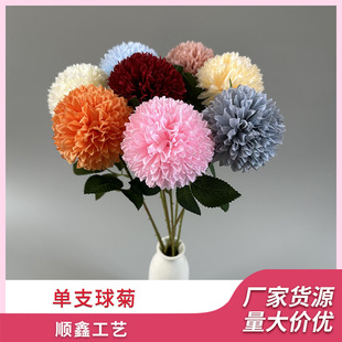 ���滨��֧��� ��Y���Æ��^��� �Ҿ��b�Y��ˇ��c��·����