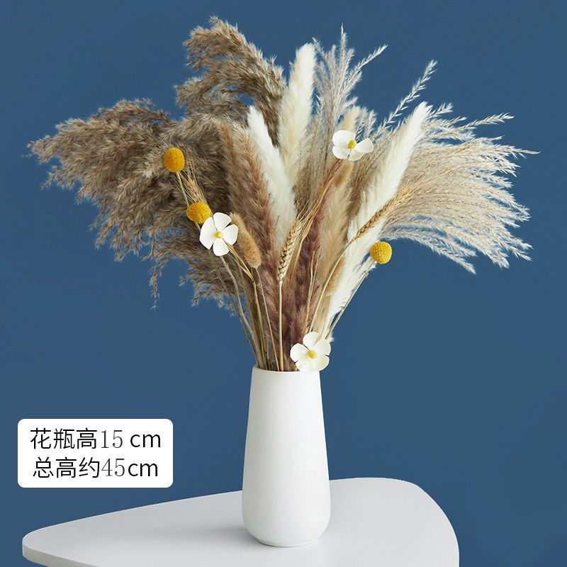 天然風乾植物兎尾草葦乾花花束高級感真花家玄関客間飾り花瓶|undefined