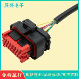 定制新能源汽车线EV线束 导航线 ECU控制器770680-1连接器插头线