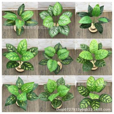 Factory direct supply of 9 evergreen simulation green plant turtle back leaf false leaves home peacock leaf decorative plant potted