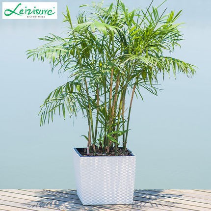 Suministro directo de fábrica de ratán-como maceta cuadrada caja de plantación Nordic automático absorbente perezoso ratán-como maceta al por mayor