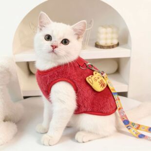 ��Ȯ��؈���·��p��q������ů����ɐ۲�ż؈؈�����Ӻ��ļӽq