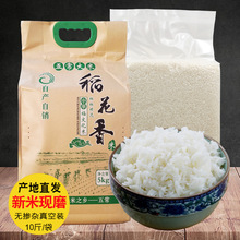 兩垧半東北五常大米稻花香米真空禮袋10斤裝新米現磨批發一件代發