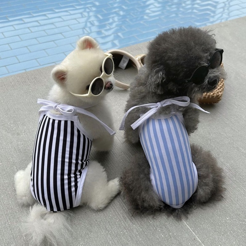 Korean ins Pet Clothing Pet Suit Swimsuit Teddy Bixiong Beach Dog Clothes Pet Swimsuit