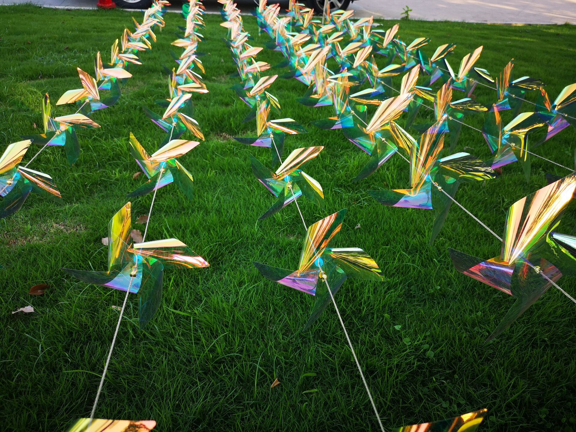 QQ图片20210625094040