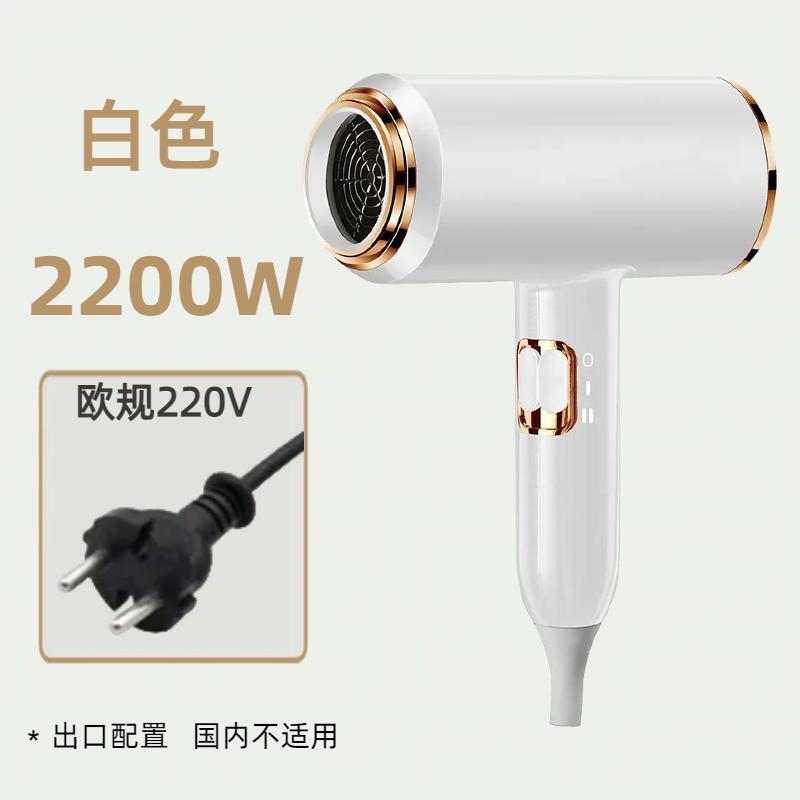 国境を越えたヘアドライヤー家庭用寮冷熱風マイナスイオンネット赤大出力ギャラリー電気ブローメーカー卸売り|undefined