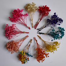 满天星永生花干花幼儿园布置手账香薰扩香杯圣诞手工材料迷你花束