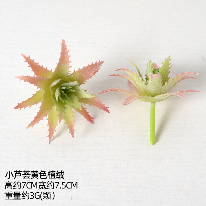 Simulación transfronteriza suculenta especial para plantación de aloe vera pequeña plantación verde pequeña plantación de bonsai pequeña plantación de flores suculentas accesorios diy falso plantación verde