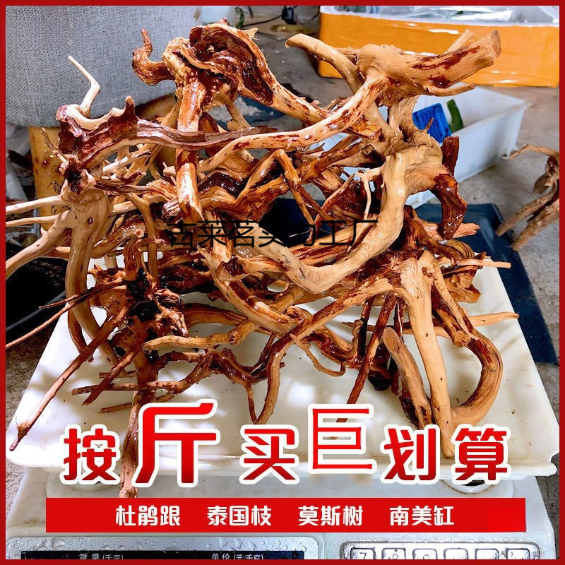 天然杜鹃根栖根紫柚木沉木鱼缸水缸树枝树根造景沉木一木成景