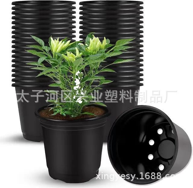 微信图片_20241214142949