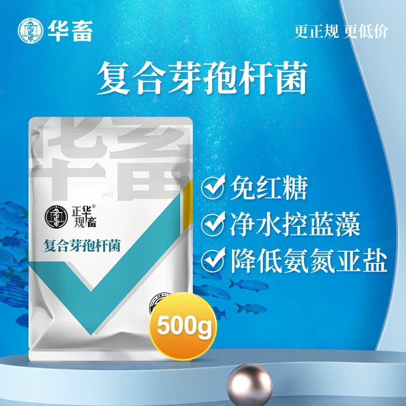 Комплекс Huaxu Bacillus subtilis для аквакультуры, специальные эм бактерии для рыбных и креветочных прудов, живые бактерии, пробиотические штаммы