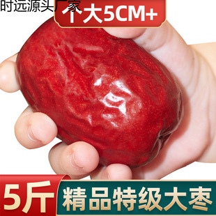 �t��5��������^����؛��ꄱ������坾23���t����ʳ�S��