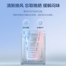海尔洗衣机小神童8KG全自动家用六维减震波轮清新换风超净洗