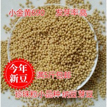 新货 非转基因发豆芽小黄豆500g小粒珍珠豆小金黄690生黄豆芽纳豆