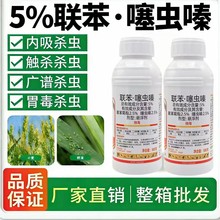 �����x����������x���������x����x���x����N���x����