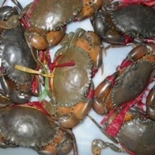 2-2.5�� �����ϼ���з��10��������ĸ��һ�룩���l�r��S������]