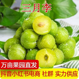 其他水果;梨;番薯类