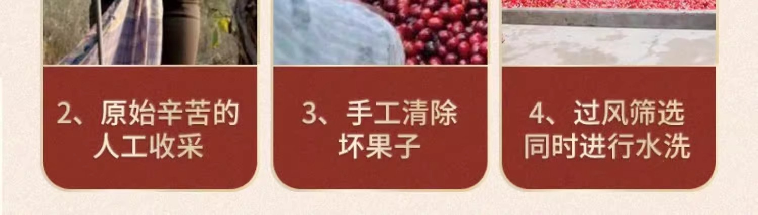 Dried Cornus Fruit Shan Zhu Yu 500g Bulk Herb for Tea Wine Infusion and Decoction quality and texture