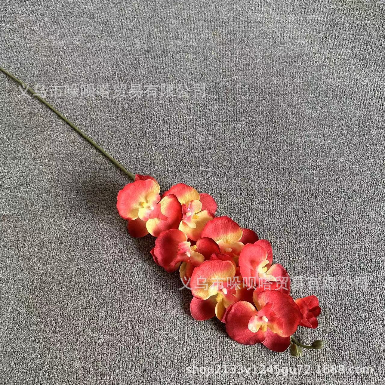 8 실크 호접란-선셋 레드