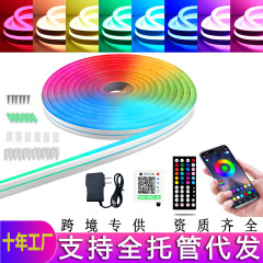 国境を越えた柔らかいネオンランプは24V10メートルRGB七彩音楽bluetooth変色して字シリコン創造ソフトライトを作る