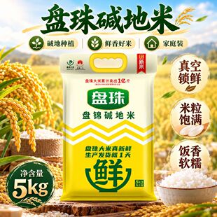 �P��P�\�|�ش���5kg��հ��b2026���ז|���A��������10���ͥ�b