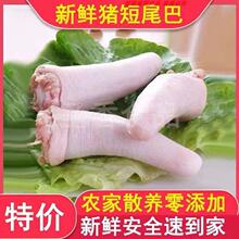 ���ʶ���β�Ͷ�β��ũ������β����ɱ��������ˮȫ��