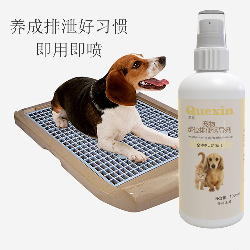 ペットの排便の定点スプレー猫と犬はトイレに行きます。|undefined