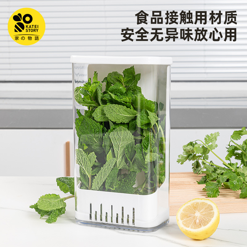 Caja de conservación hidráulica de cilantro, cebolla, ajo, vainilla, menta, plántulas de ajo, espárragos, caja de almacenamiento de refrigerador de agua, artefacto de conservación