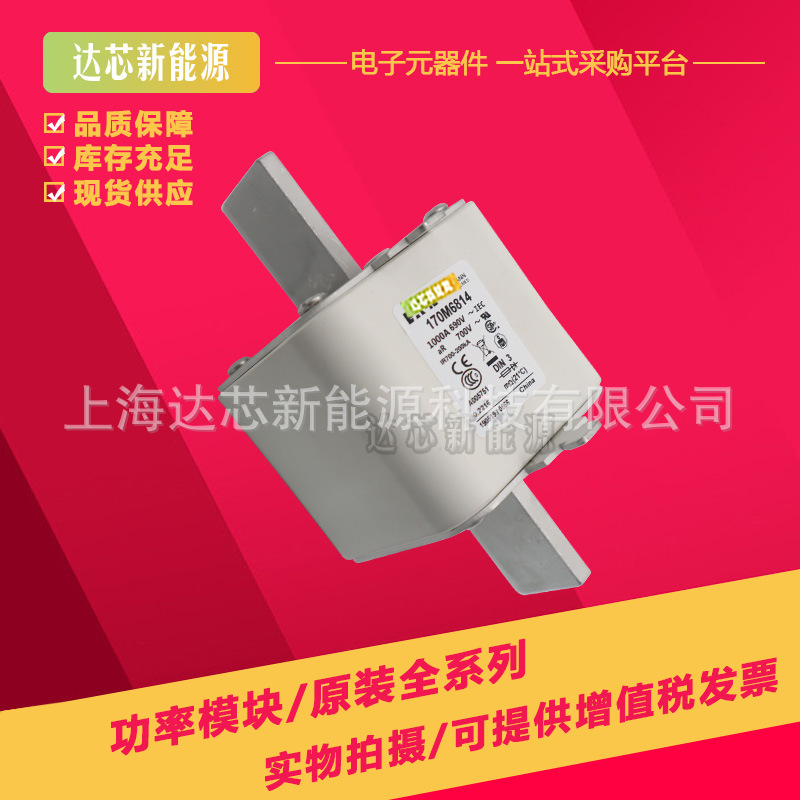 170M6080 170M6081 170M6082 170M6083全新巴斯曼熔断器,保险丝