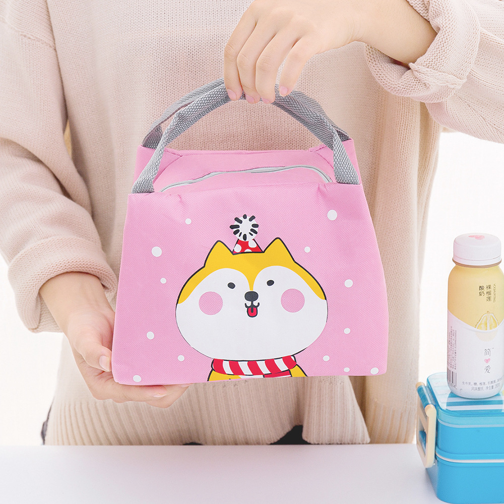 Estudiante creativo caja de almuerzo bolsa de dibujos animados niños Bento bolso almuerzo bolsa de almacenamiento bolsa de aislamiento de invierno