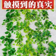 �G�}�~���~�b����ϱڒ�ٻ��ٗl�����G�~�p�@���{ˮ�ܵ��ړ�