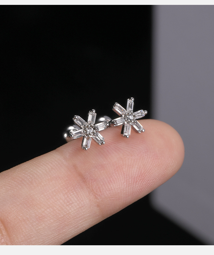 2021 New High-Grade Ear Bone Nail Micro-Set Earring Ins Net Red Joker Earrings Exquisite Earrings Wholesale detail image 7