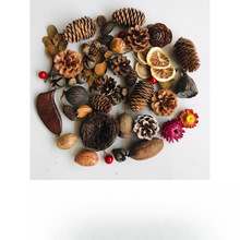 bdiyɻֲ˱ֹɹľƬɰ