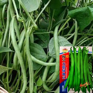 �o���ļ����N�Ӳ���ܷN�шA�����Բˈ@���ѷN�ӟo��G�ض��ǷN��