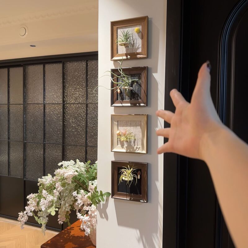 DIY Decorative Painting with Vintage Style Magnetic Air Plant Decoration, No-Punch Combination Picture Frame Wall Decoration