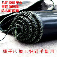 С���r���W10Ŀ40Ŀ���~�з�����Bֳ���ӾW����ϩ����Ĥ�Ӻ�����