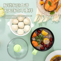 Direct Supply Guangdong Multifunction Electric Hot Pot for Student Dormitory Single Person Mini Small Electric Heating Hot Pot for Shipping