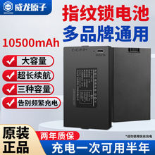 指纹锁智能门锁C级机械锁全自动不锈钢锂电池6月长续航厂家直销